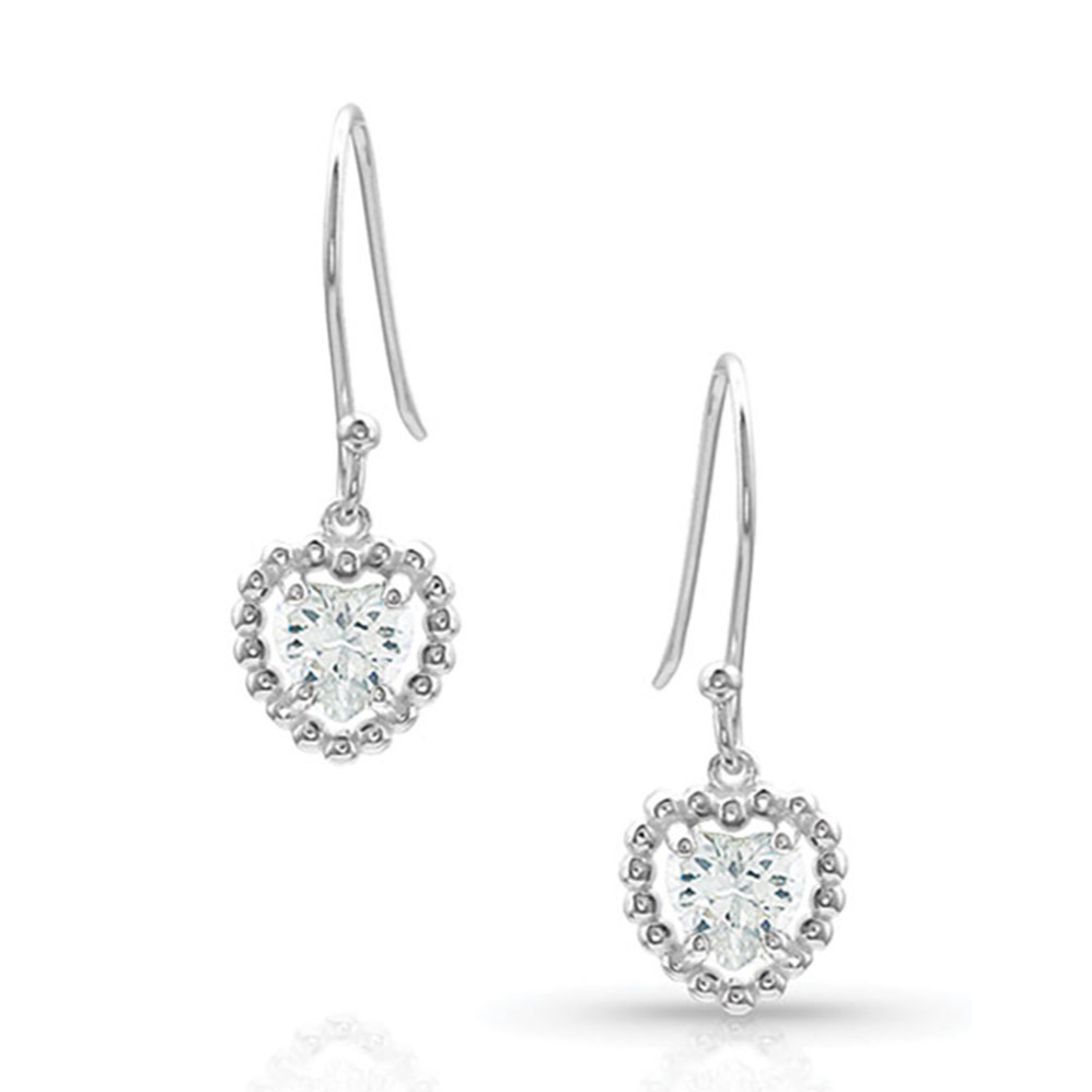 Montana Silversmiths Frozen Heart Earrings ER4653