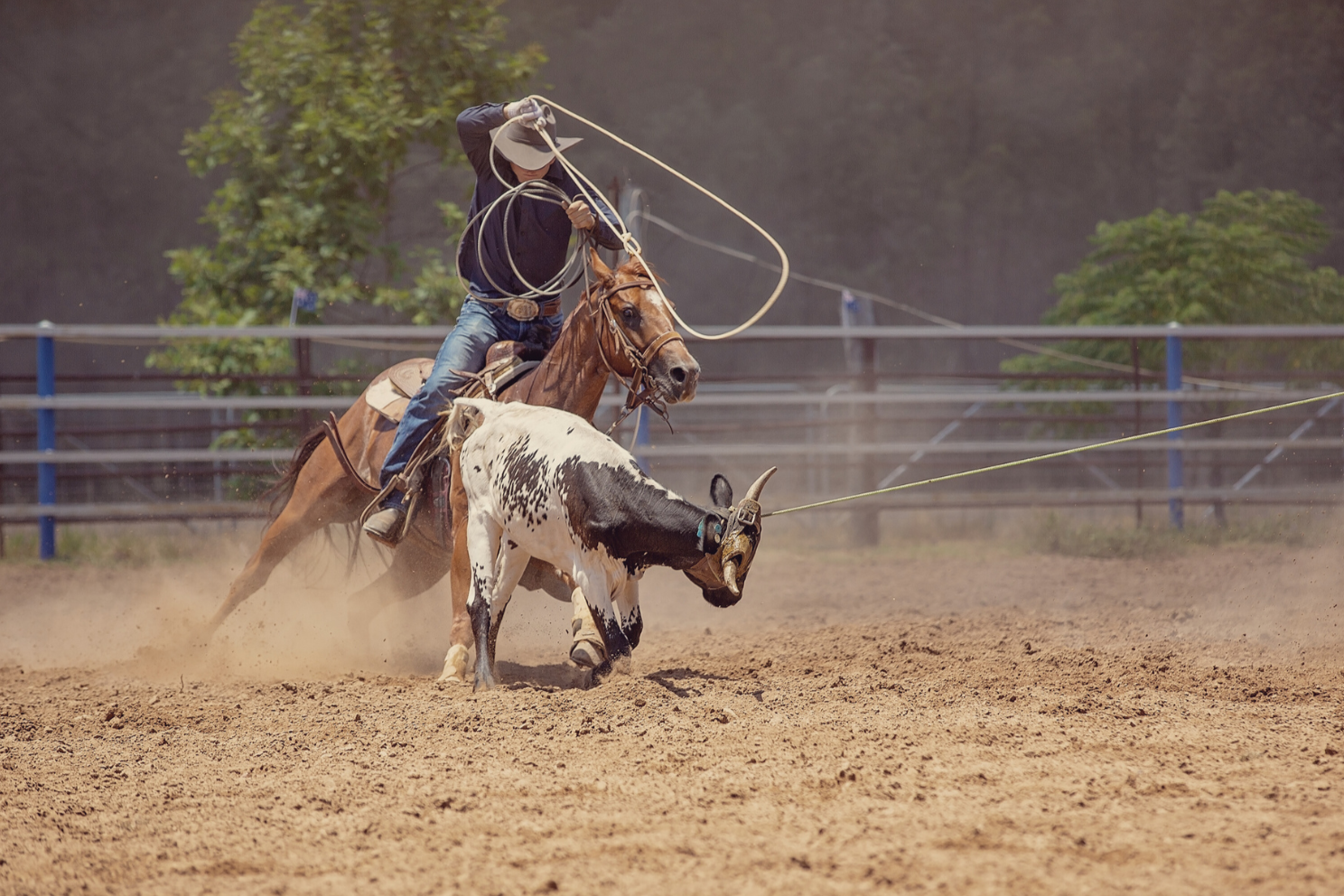 Men's Rodeo Collection