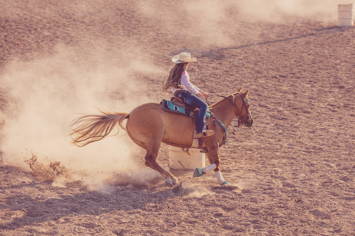 Women's Rodeo Collection – Wild Bill's Western Store
