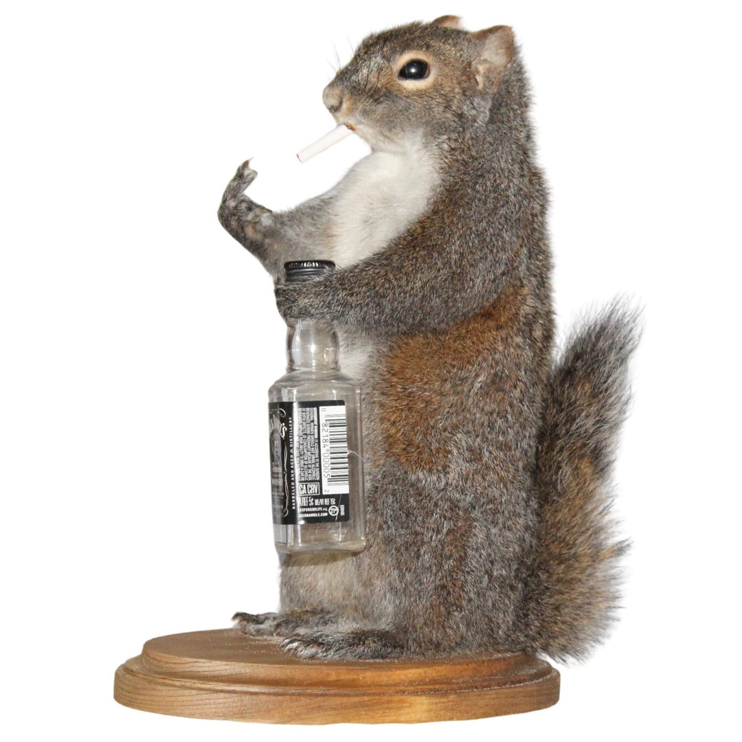 BS Trading Belligerent Squirrel H-M-SQ-WSK