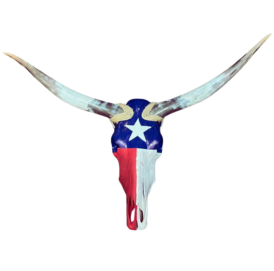 Western Texas Longhorn Skull