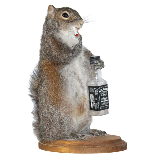 BS Trading Belligerent Squirrel H-M-SQ-WSK