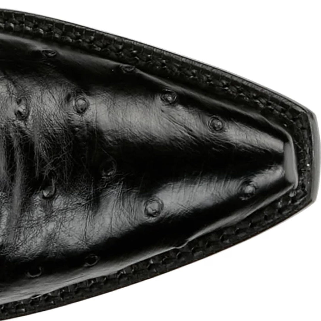 Tony Lama Women's Carolina Full Quill Ostrich Boots SG4041L