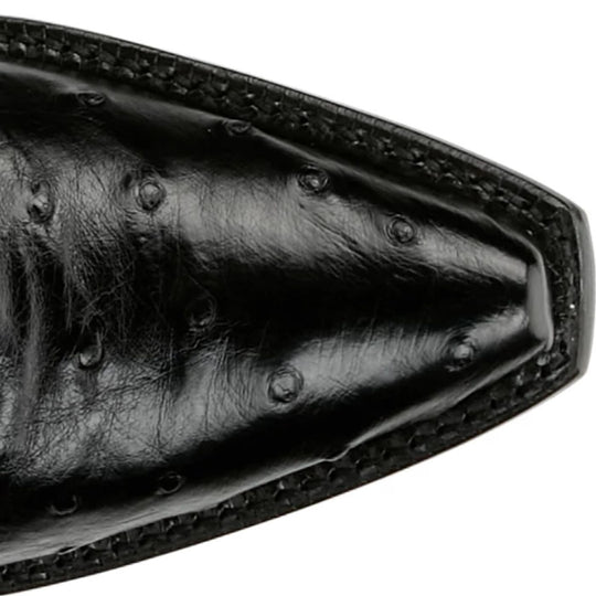 Tony Lama Women's Carolina Full Quill Ostrich Boots SG4041L