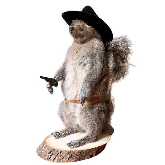 Sheriff Squirrel H-MT-C