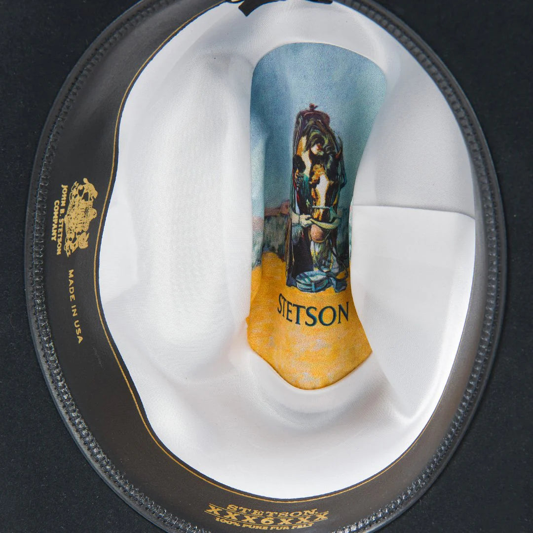 Stetson Skyline 6X Black Fur Felt Cowboy Hat 7542