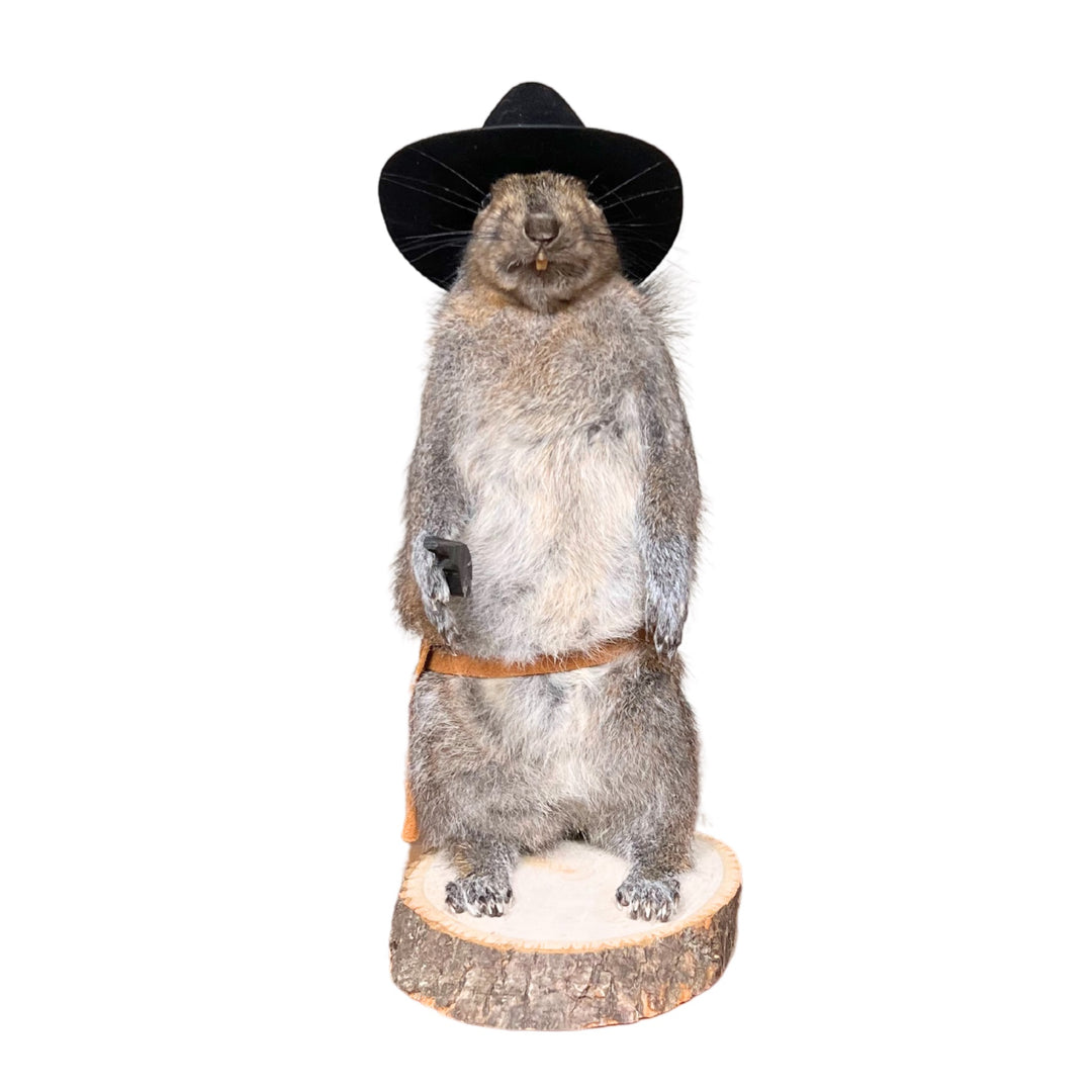 Sheriff Squirrel H-MT-C