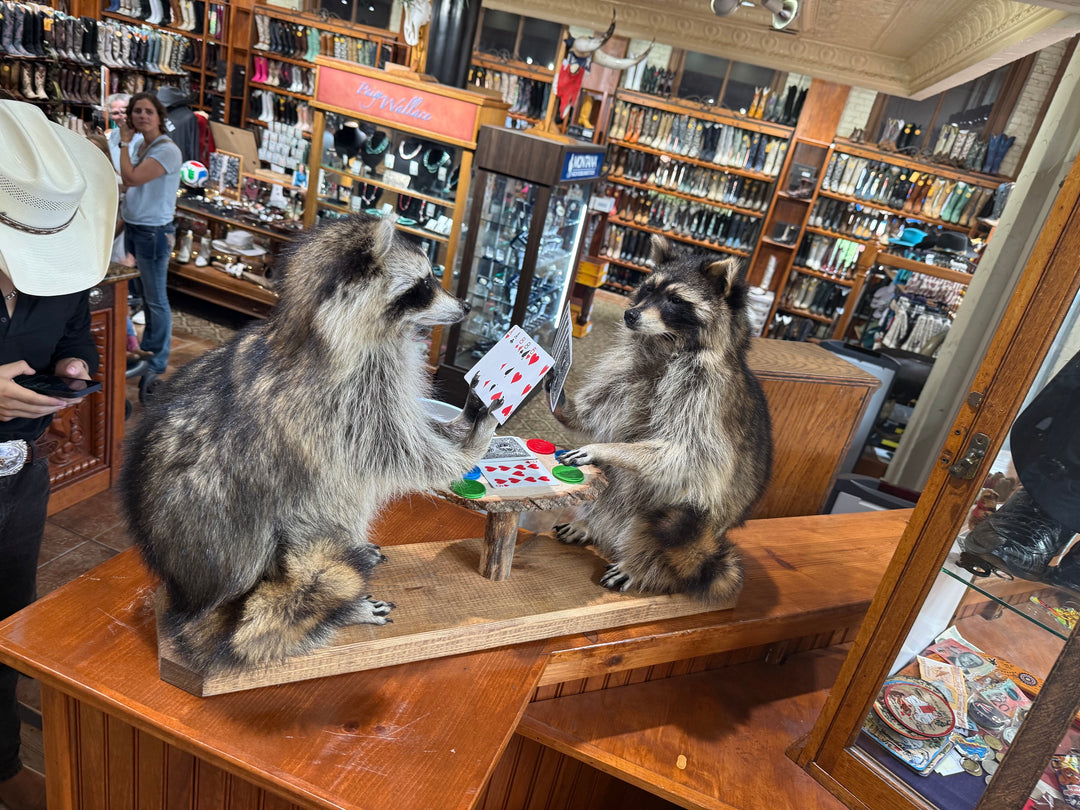 Wild Bill's Raccoons Playing Cards