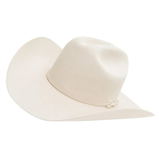 Stetson Skyline 6X Silverbelly Fur Felt Cowboy Hat SFSKYL