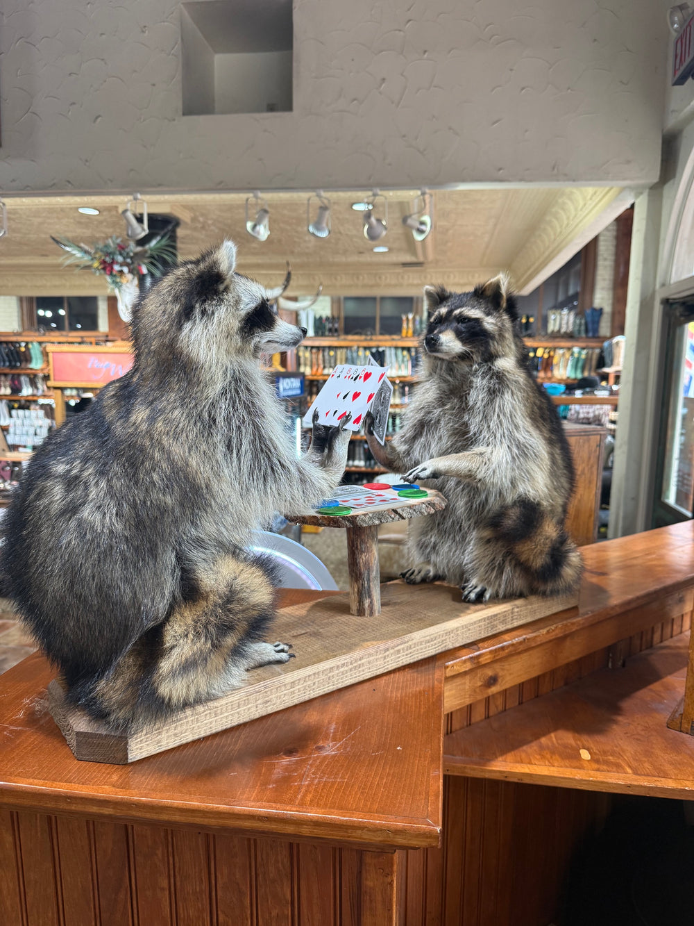 Wild Bill's Raccoons Playing Cards