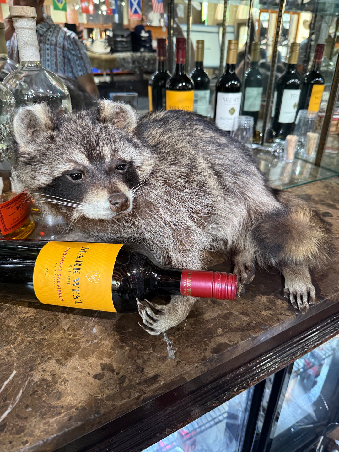 Raccoon Bottle Holder