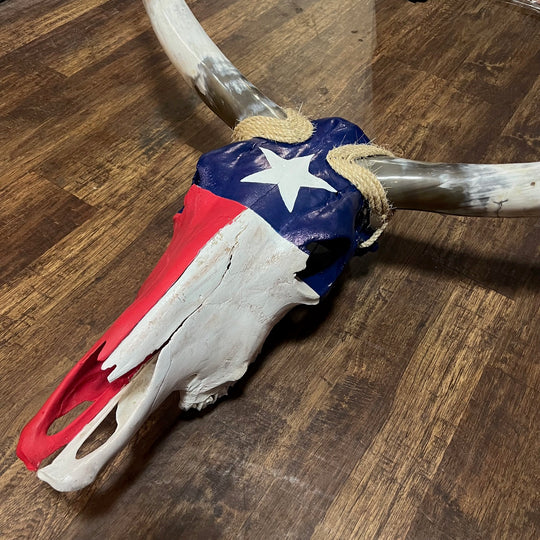 Western Texas Longhorn Skull