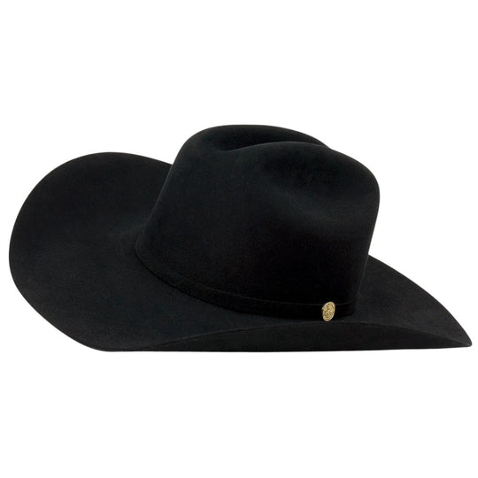 Stetson The Golden Eagle 100X Black Fur Felt Cowboy Hat SFG160-0140