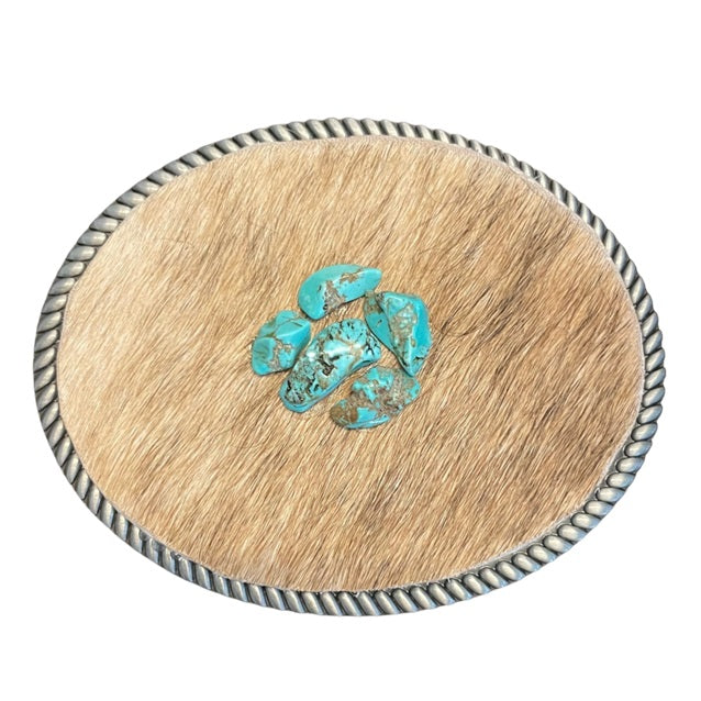 Caimey Cowhide Turquoise Stone Buckle